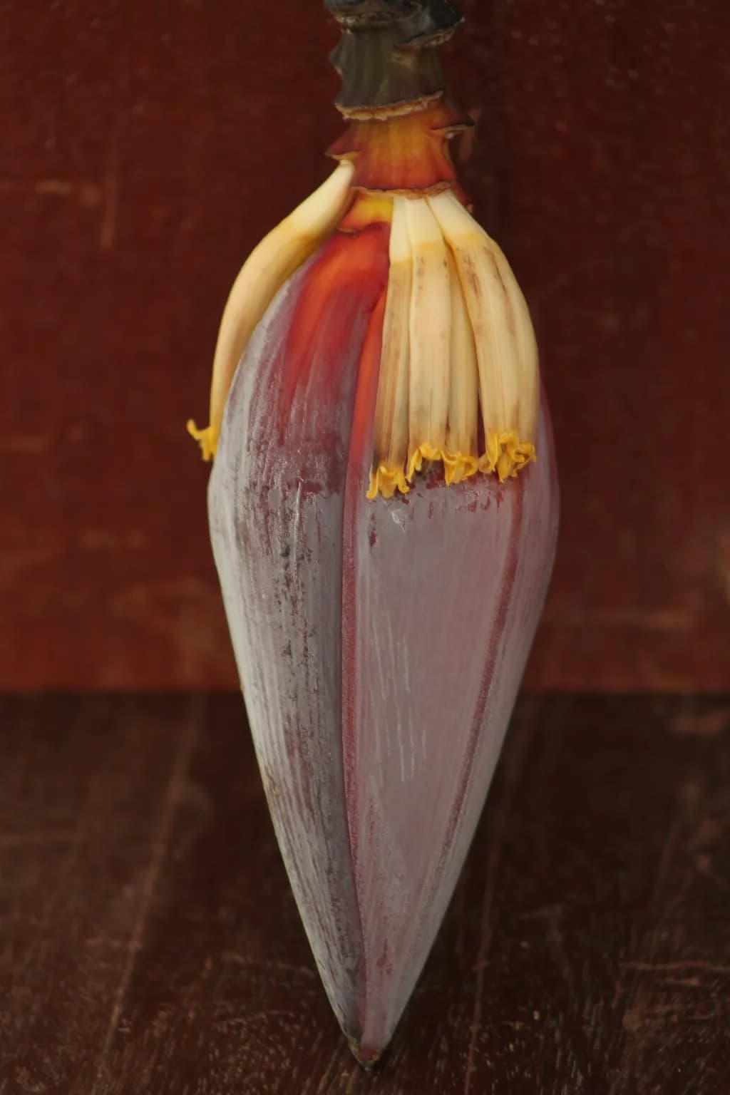 Banana Blossom
