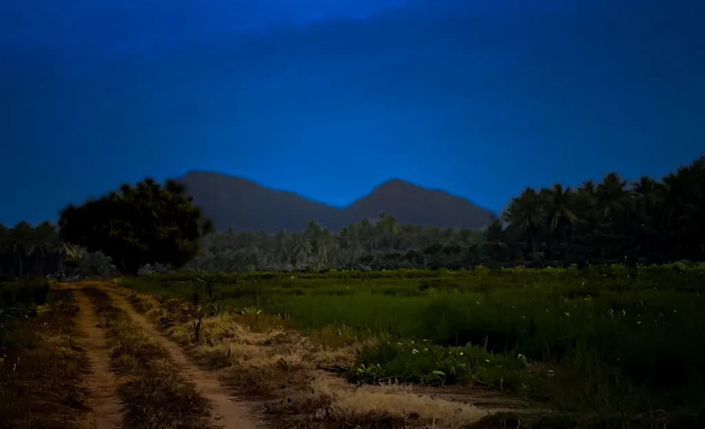 Mountain Pathway