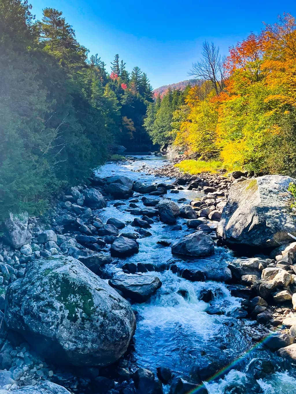 Autumn Streamscape