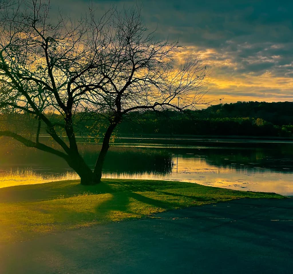 Lakeside Dusk