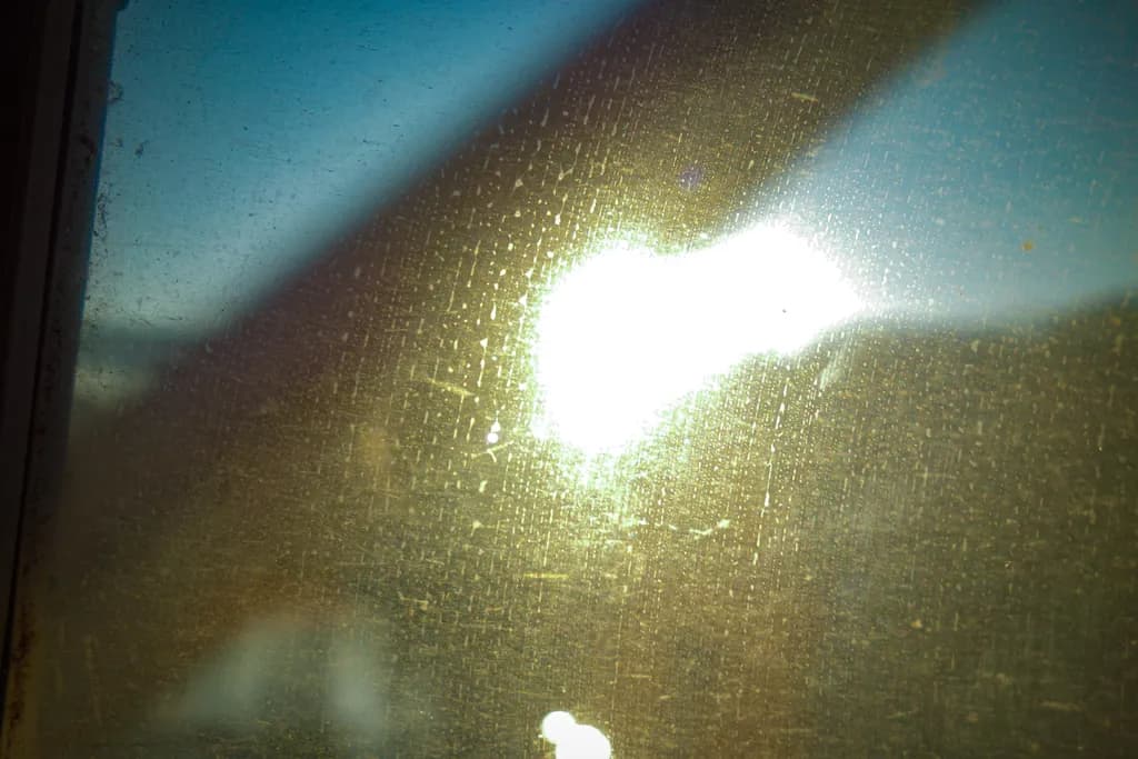 Sunlit Reflection