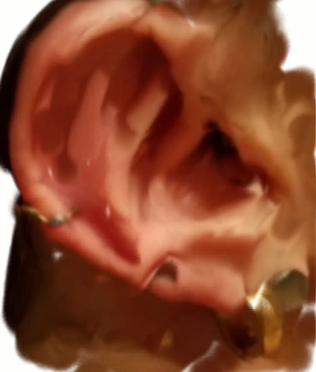 Ear Close-Up