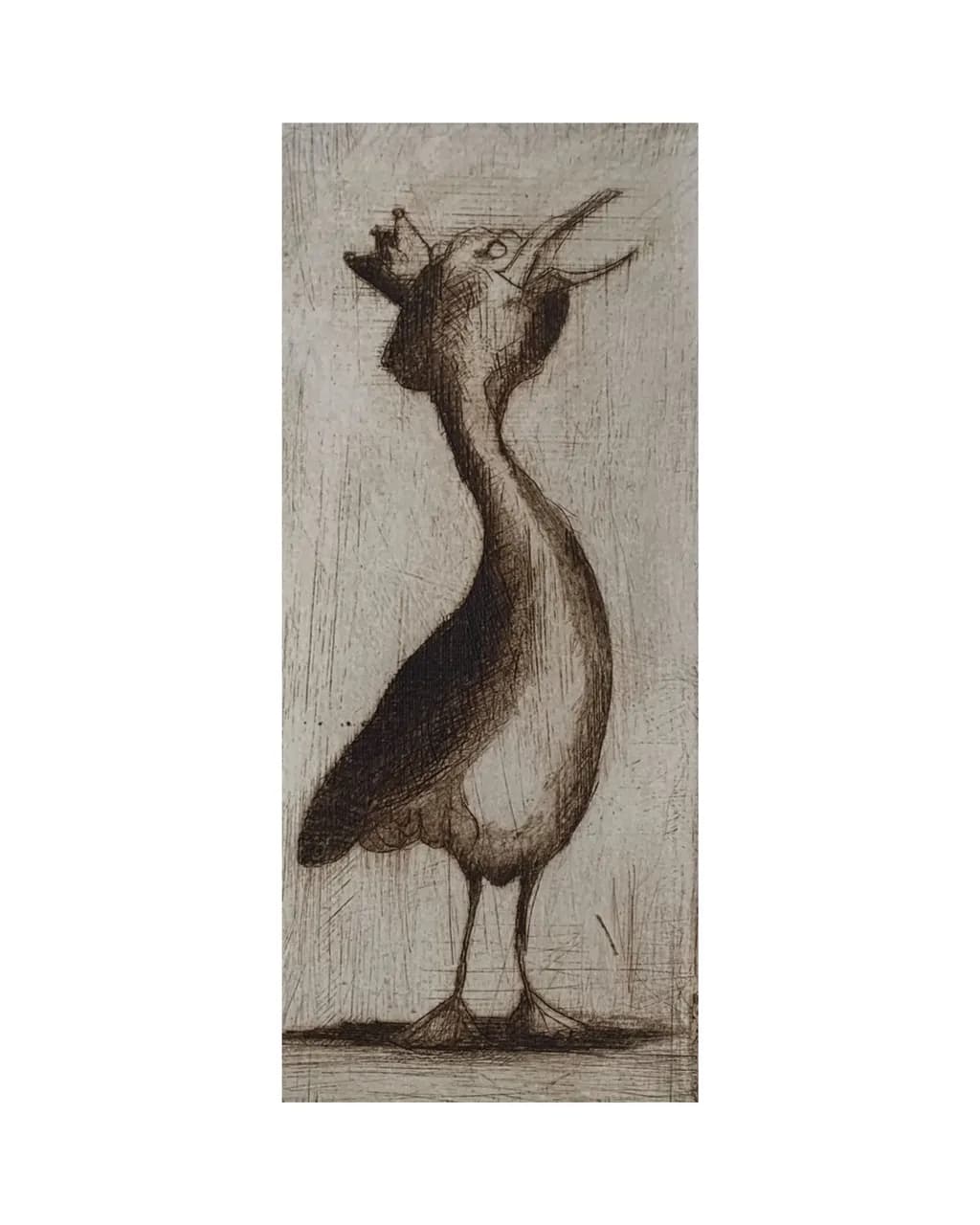 Crowned Cormorant