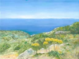 Coastal Blooms