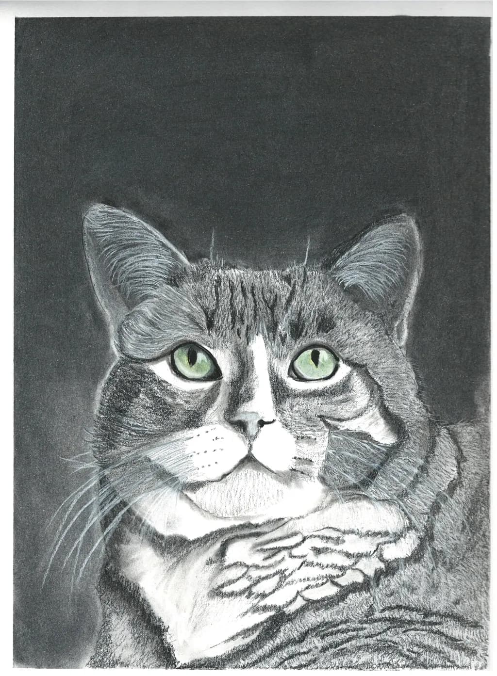 Green-Eyed Feline
