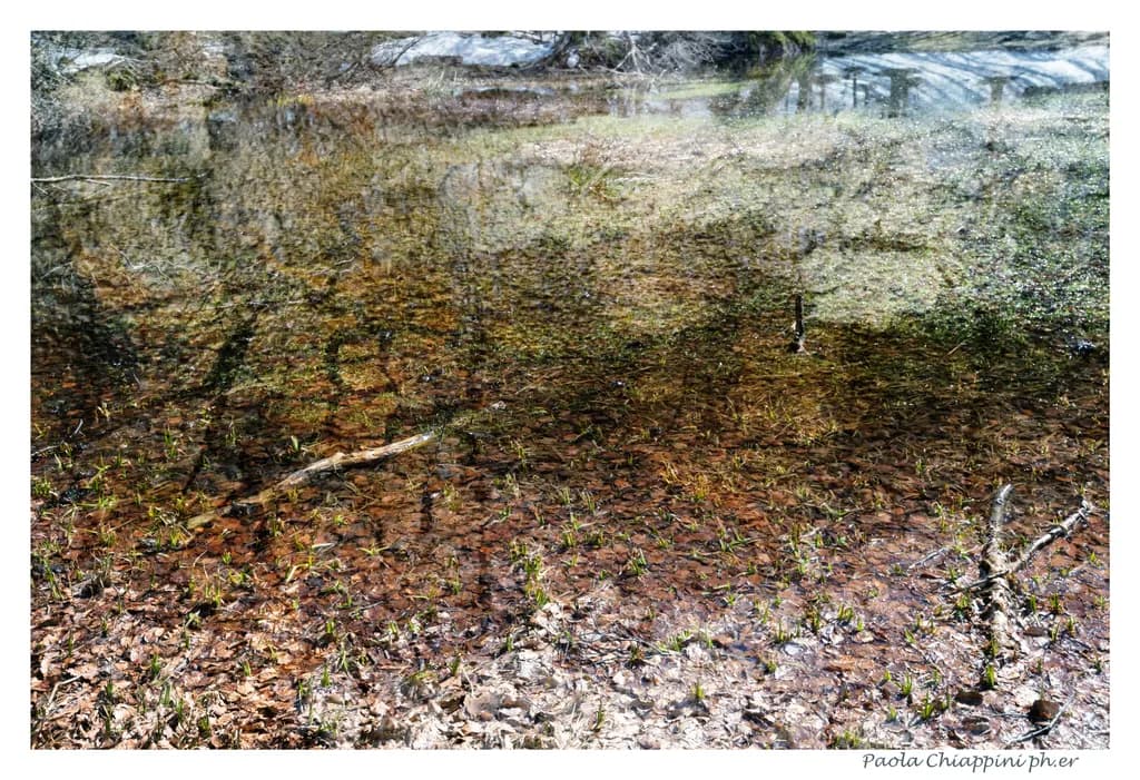 Submerged Echoes