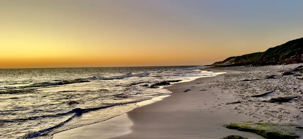 Golden Shoreline