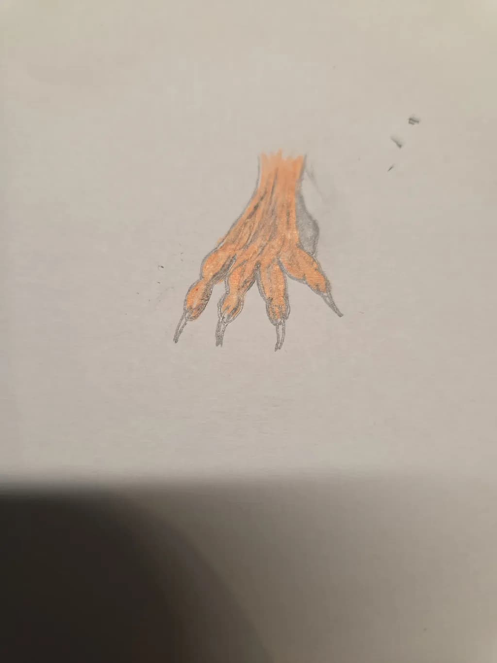 Claw Detail
