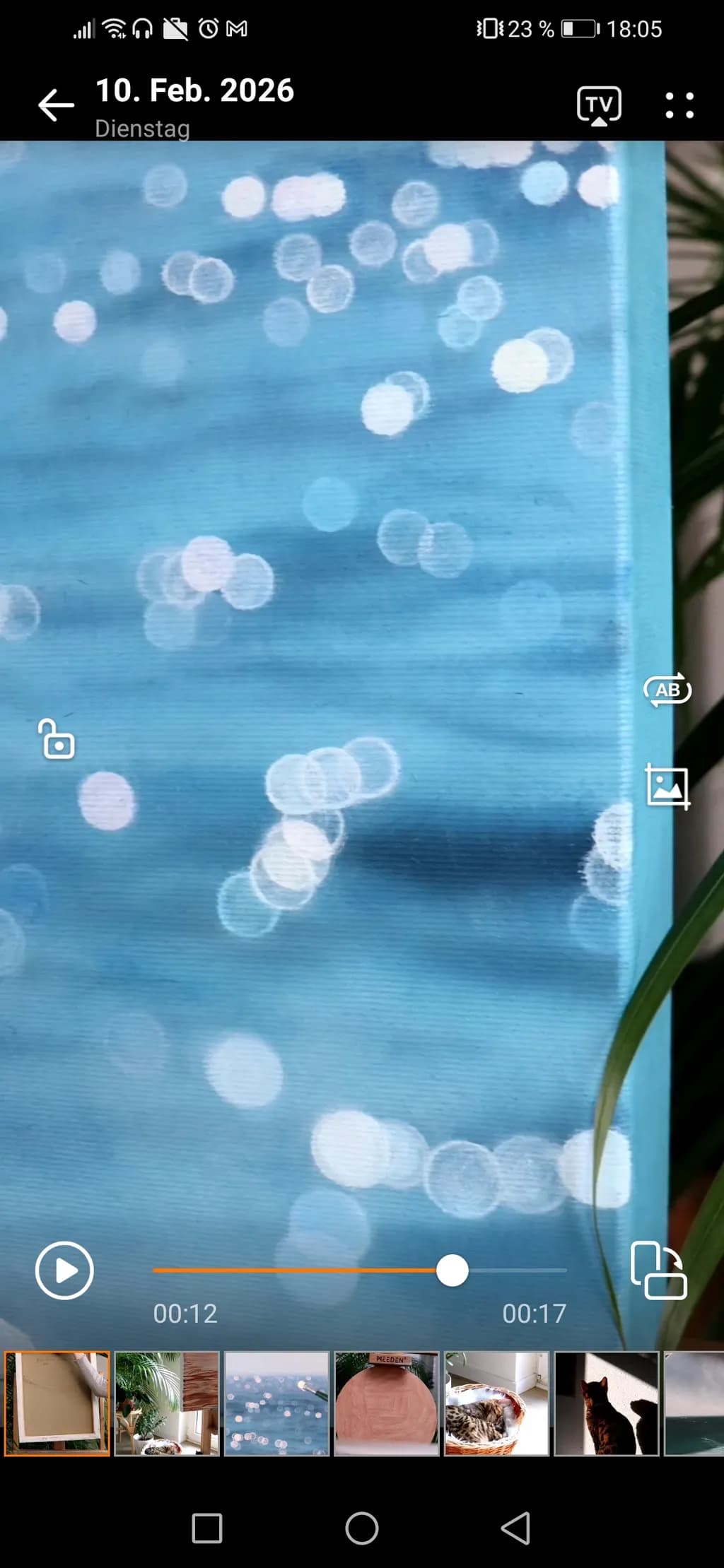 Bokeh Bliss