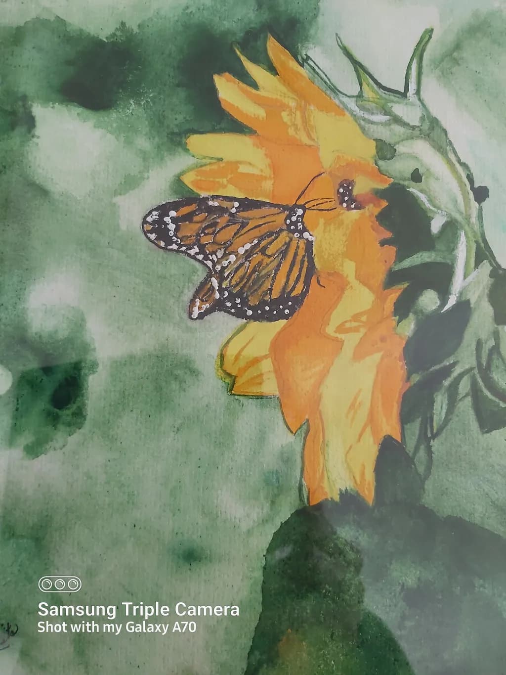 Butterfly and Sunflower