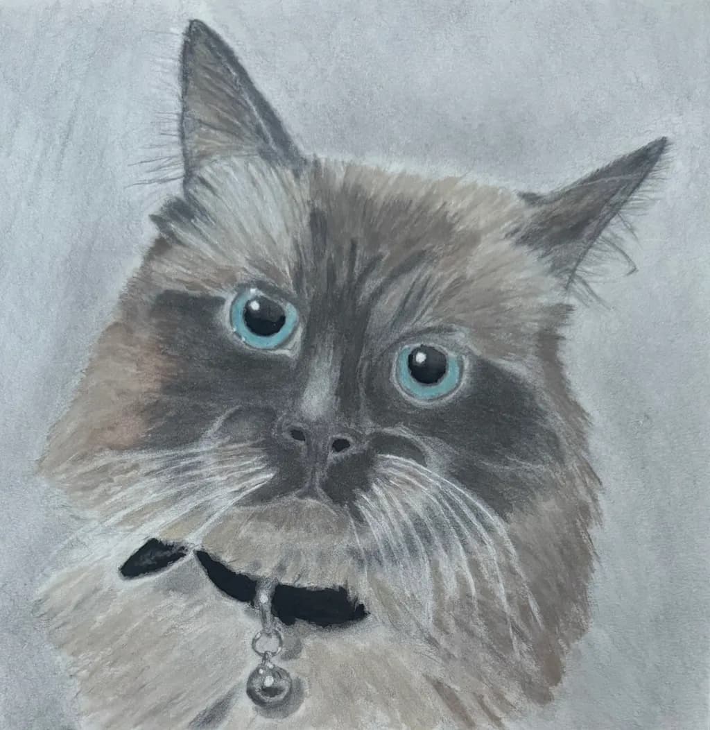 Blue-Eyed Feline