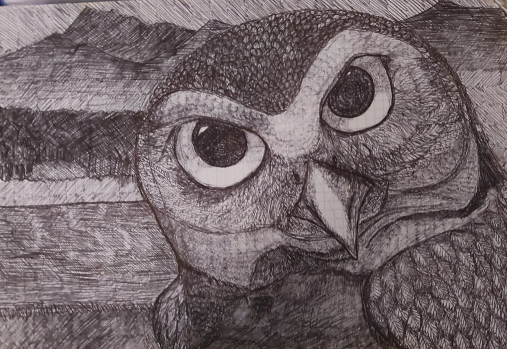 Owl Gaze