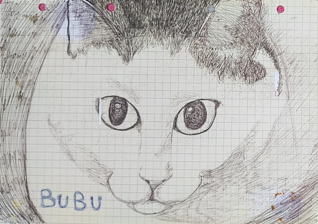 Bubu the Cat