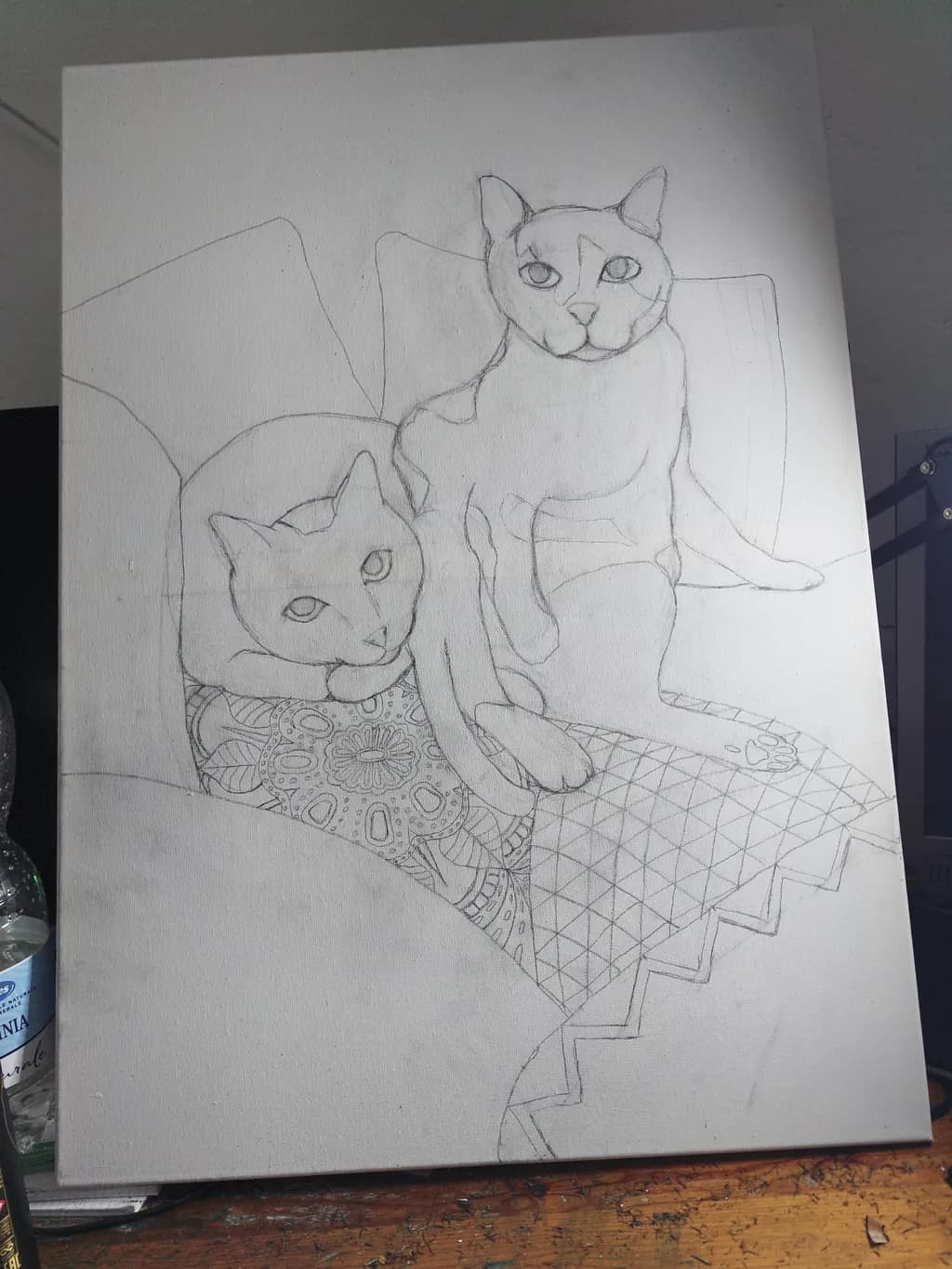 Cushion Companions