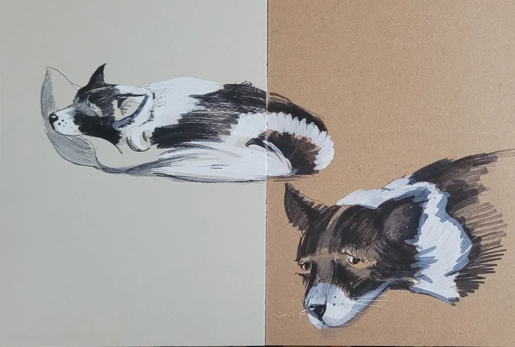 Split Gaze Dog