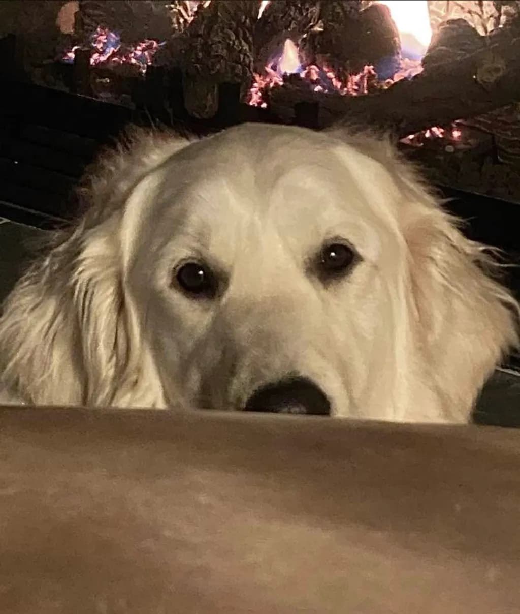 THE LOOK OF LOVE