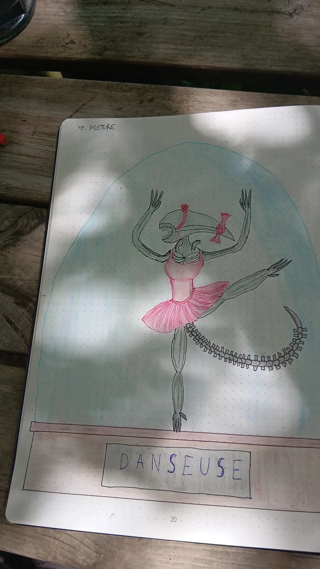 Danseuse Anatomy