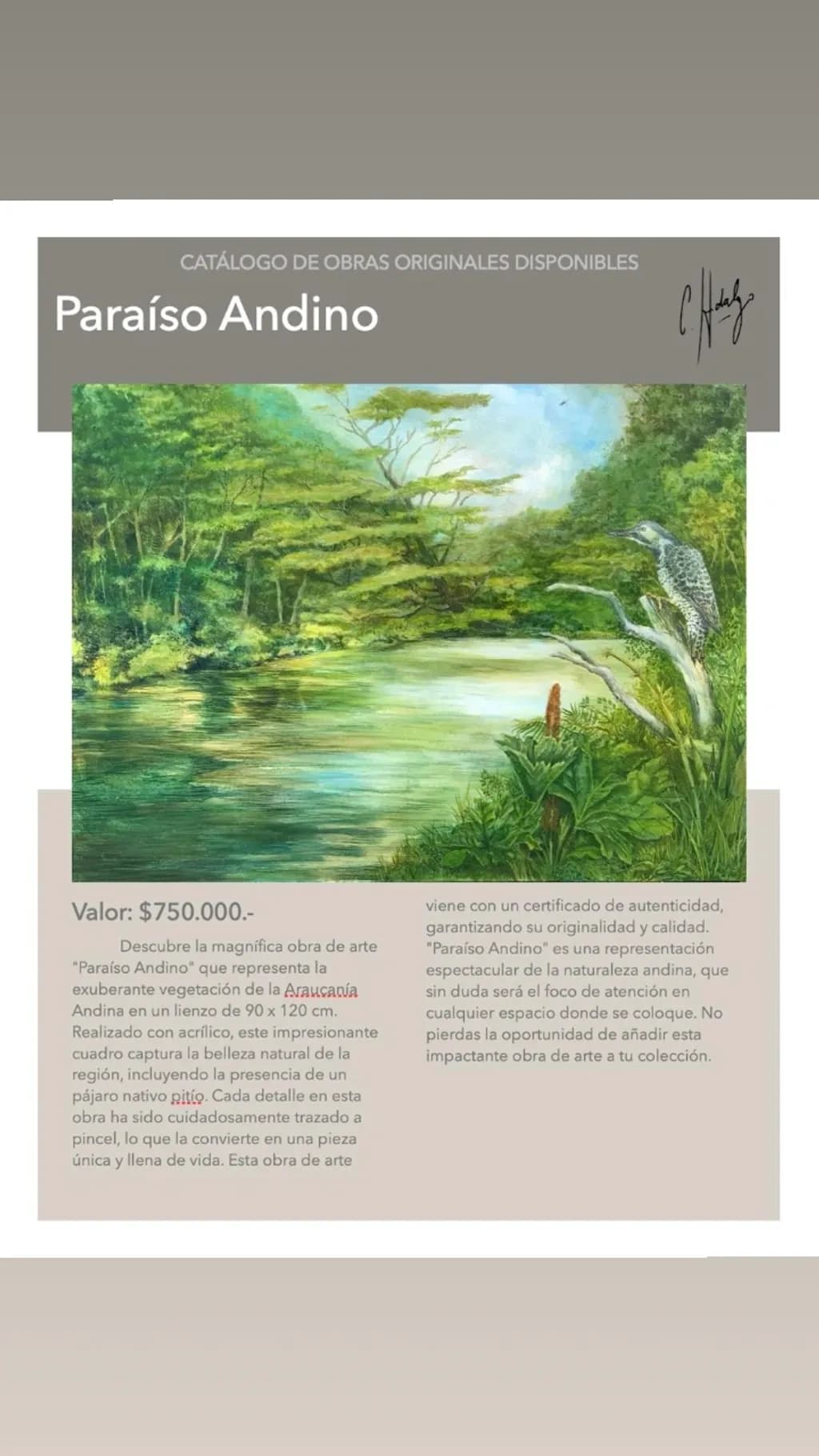 Andean River Scene