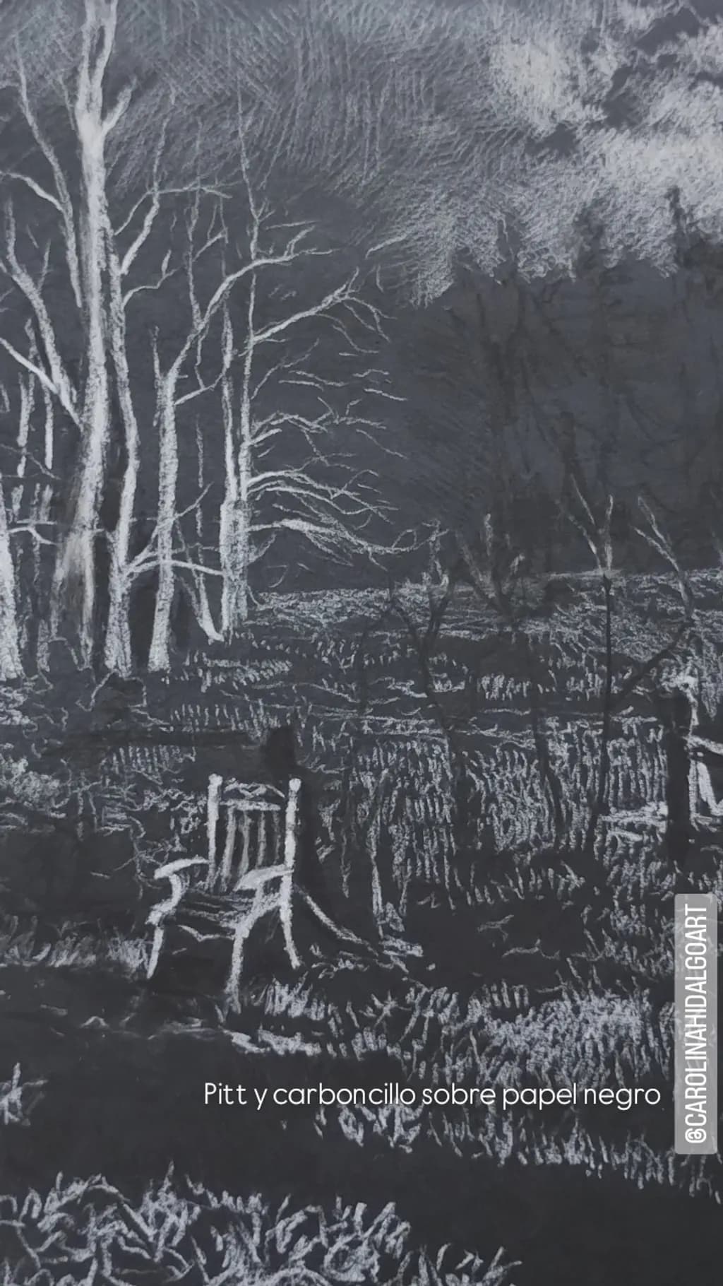Forest Chairs at Dusk