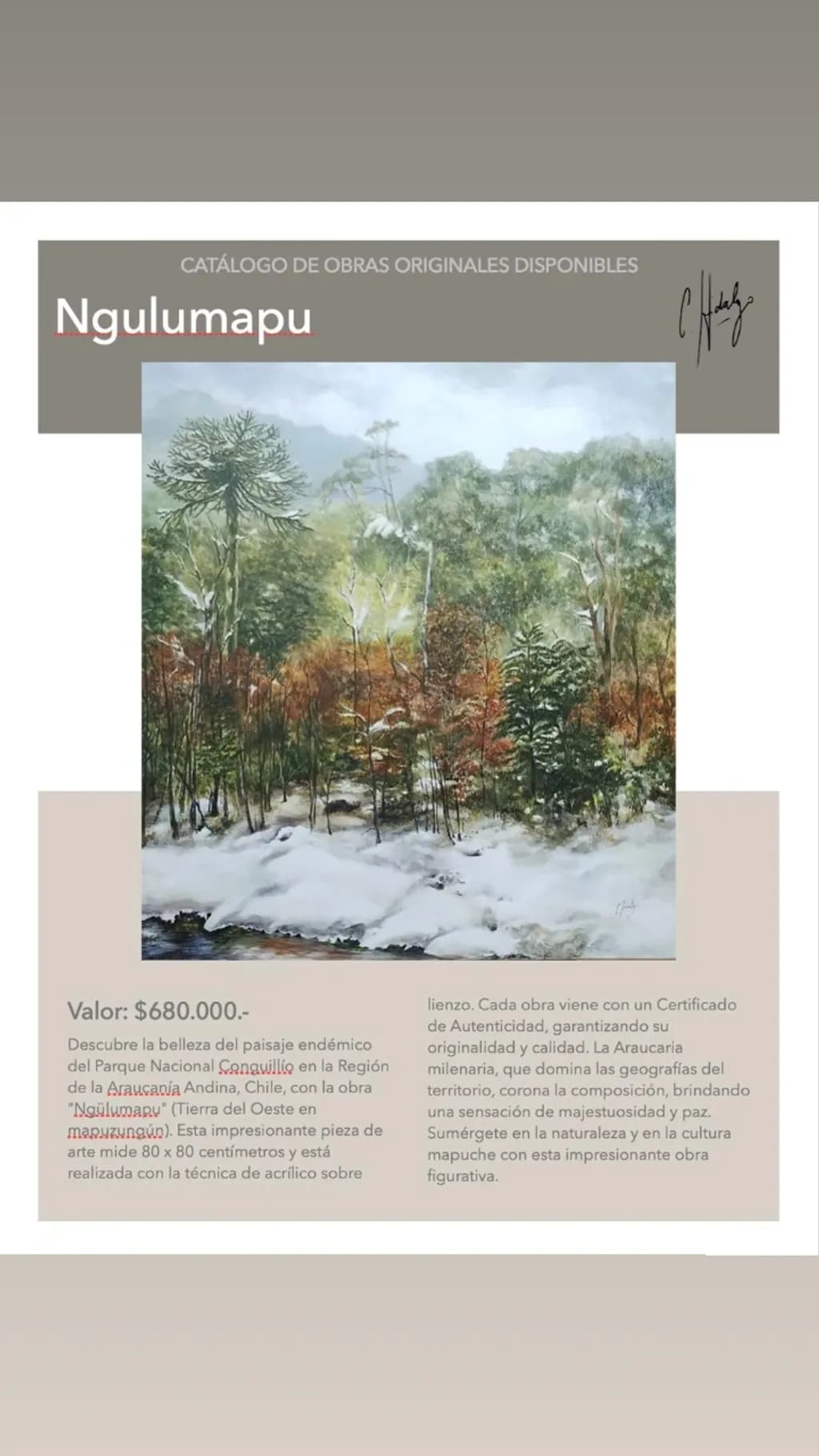 Ngulumapu Forest Scene