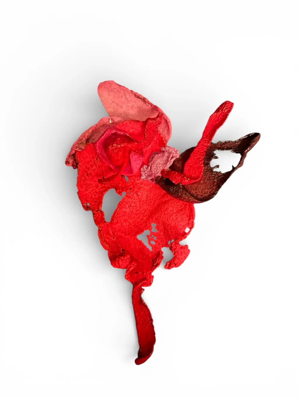 Crimson Bloom