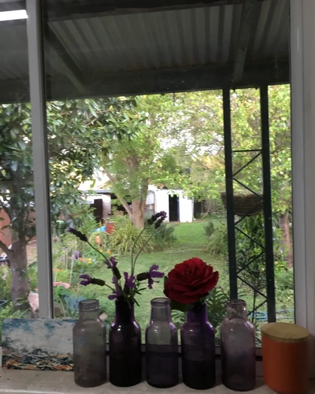 Garden View Through Glass