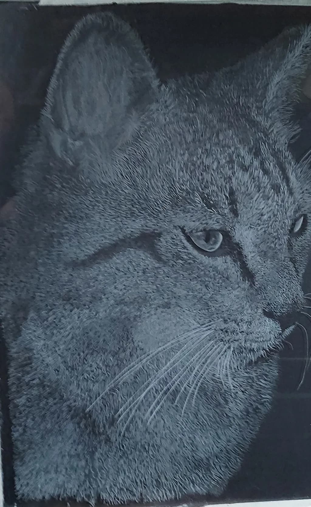 Feline Portrait