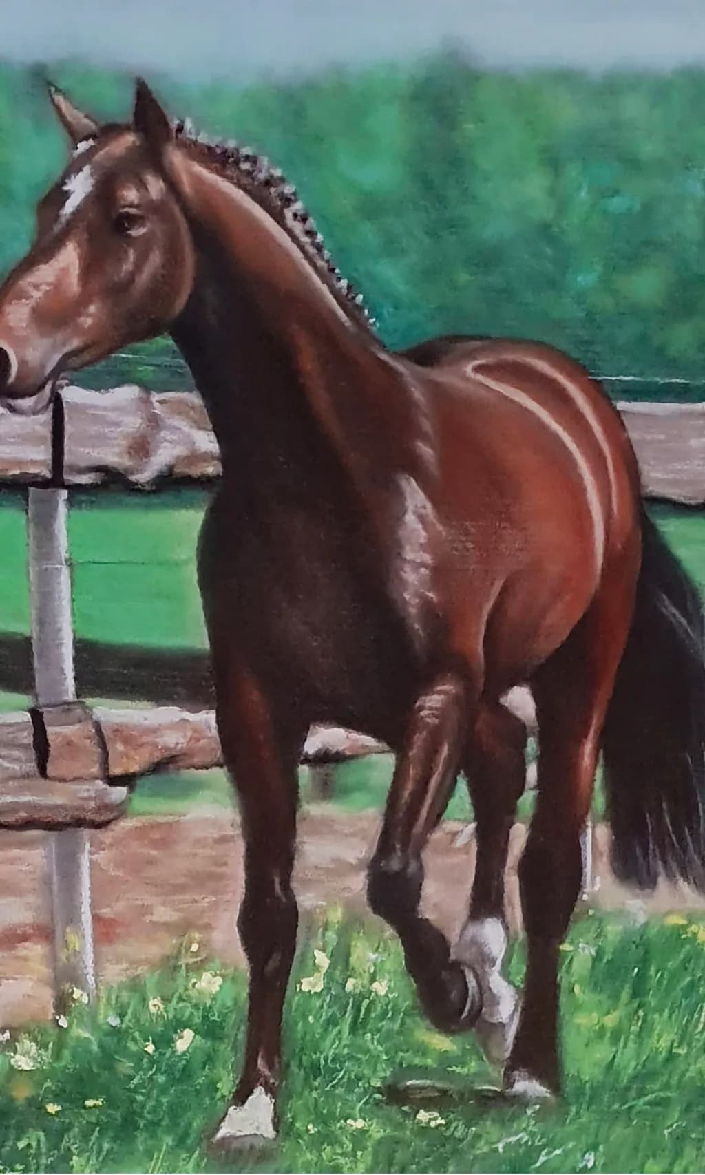 Horse by Fence