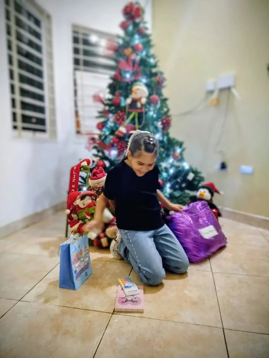 Holiday Surprise