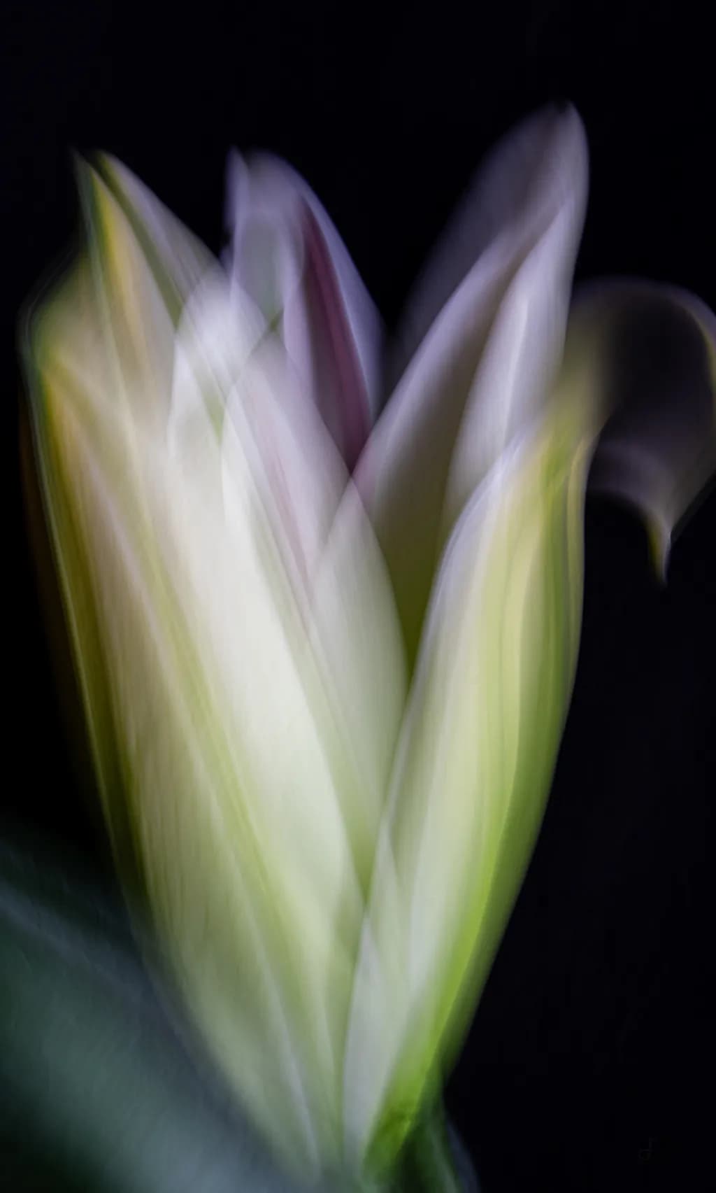 Essence