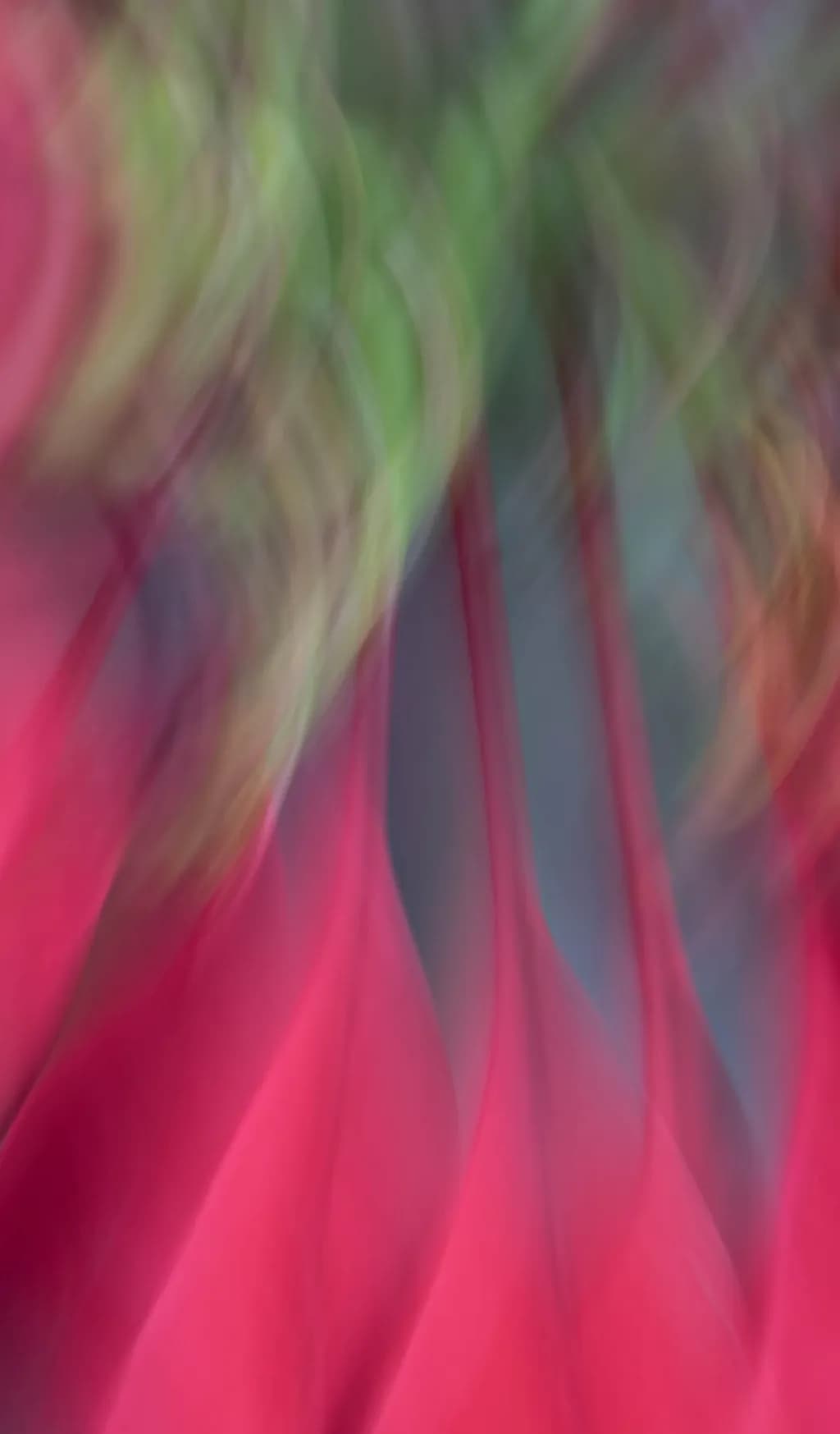 Floral Motion