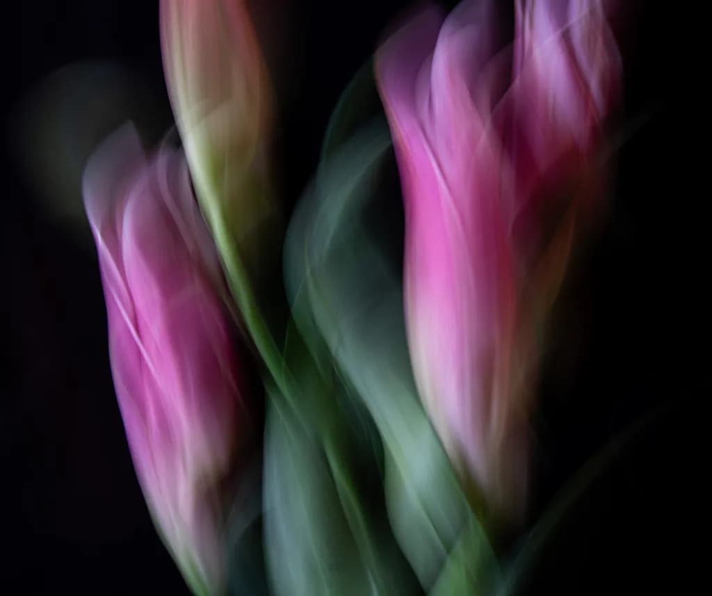 Blurry Blooms