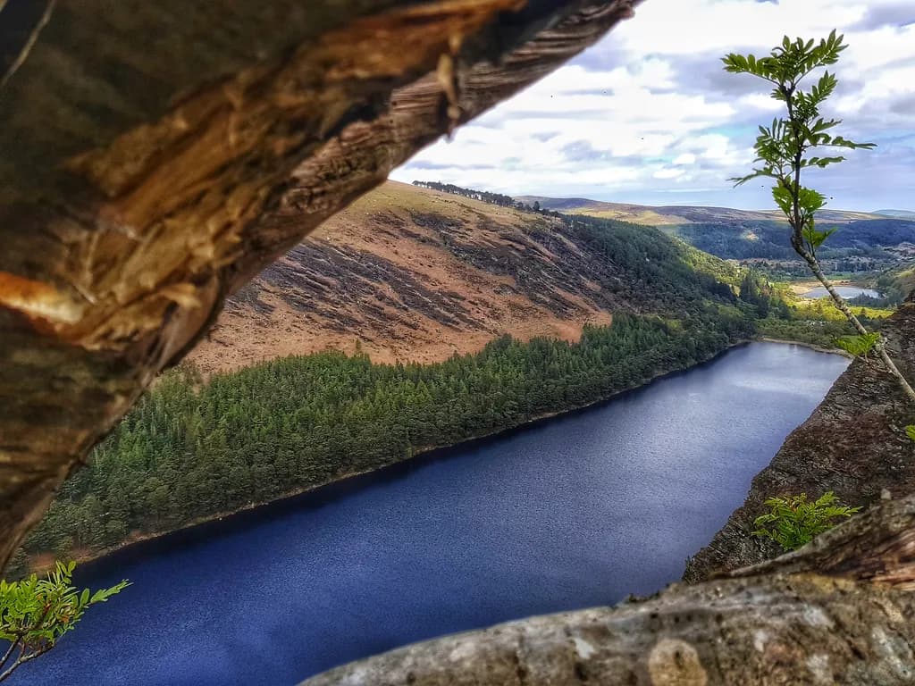 Tranquil Reflections