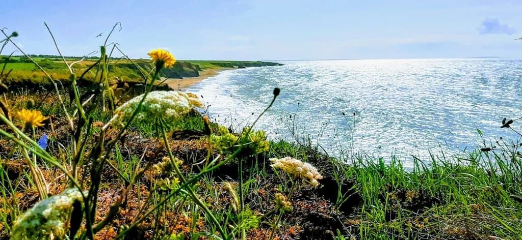 Coastal Serenity