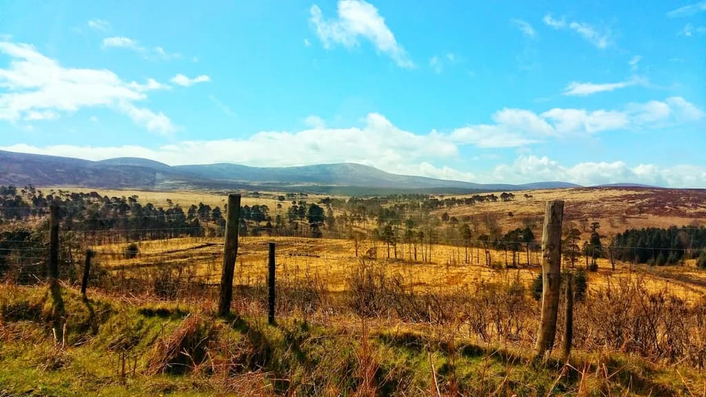 Rolling Hillscape