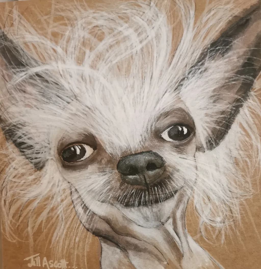 Quirky Whiskers