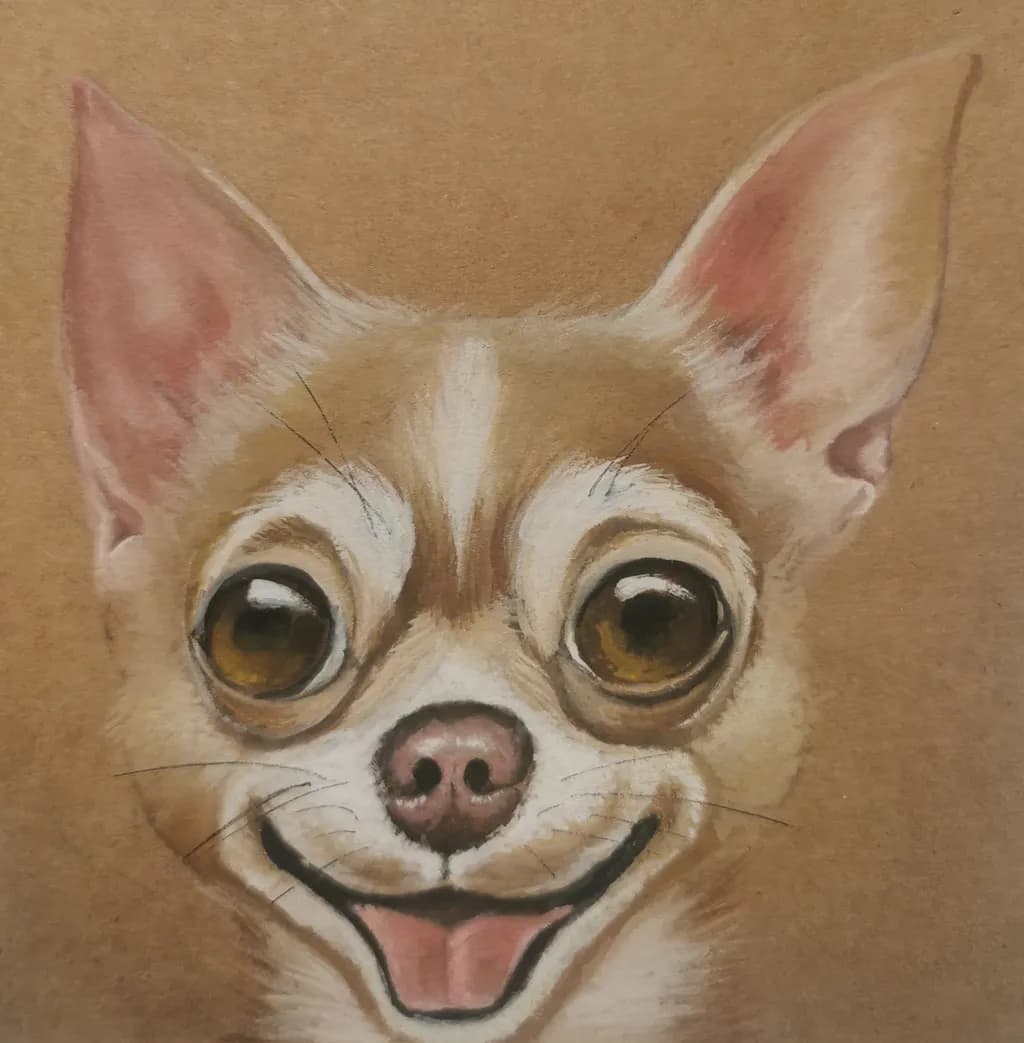 Wide-Eyed Chihuahua