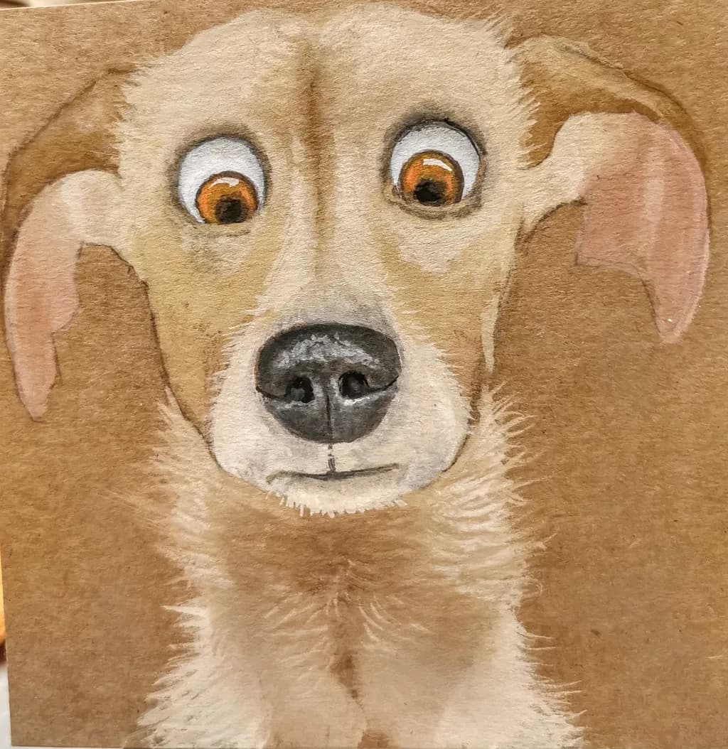 Wide-Eyed Pup
