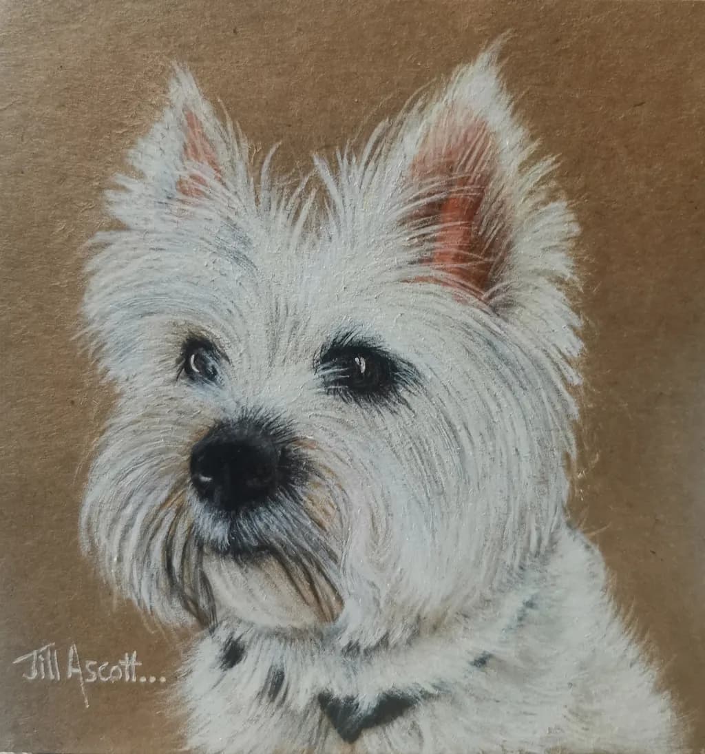 White Westie Portrait