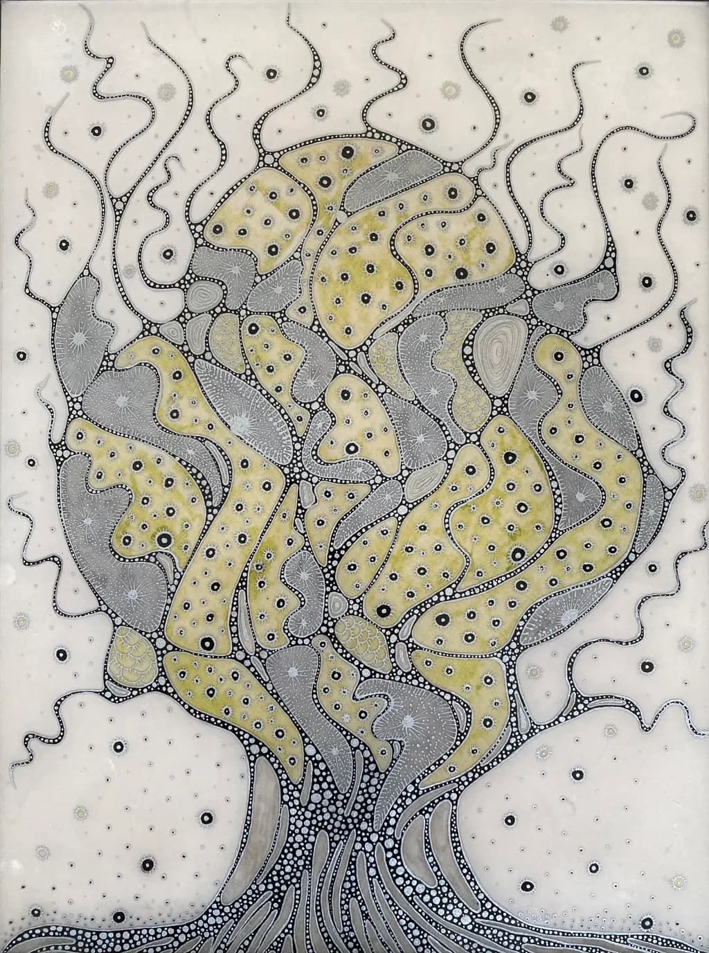 Cellular Bloom