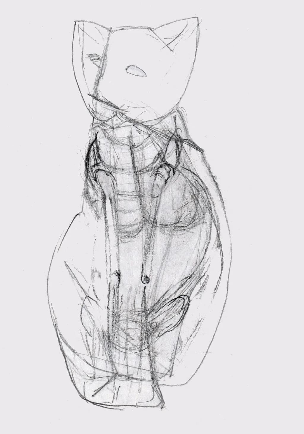Sketch of a Cat