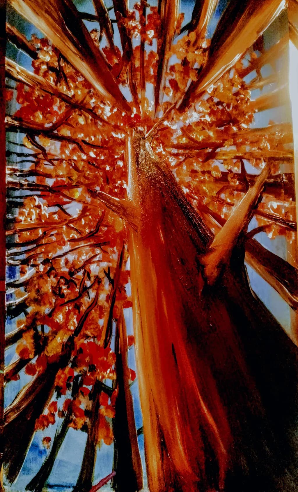 Autumn Canopy