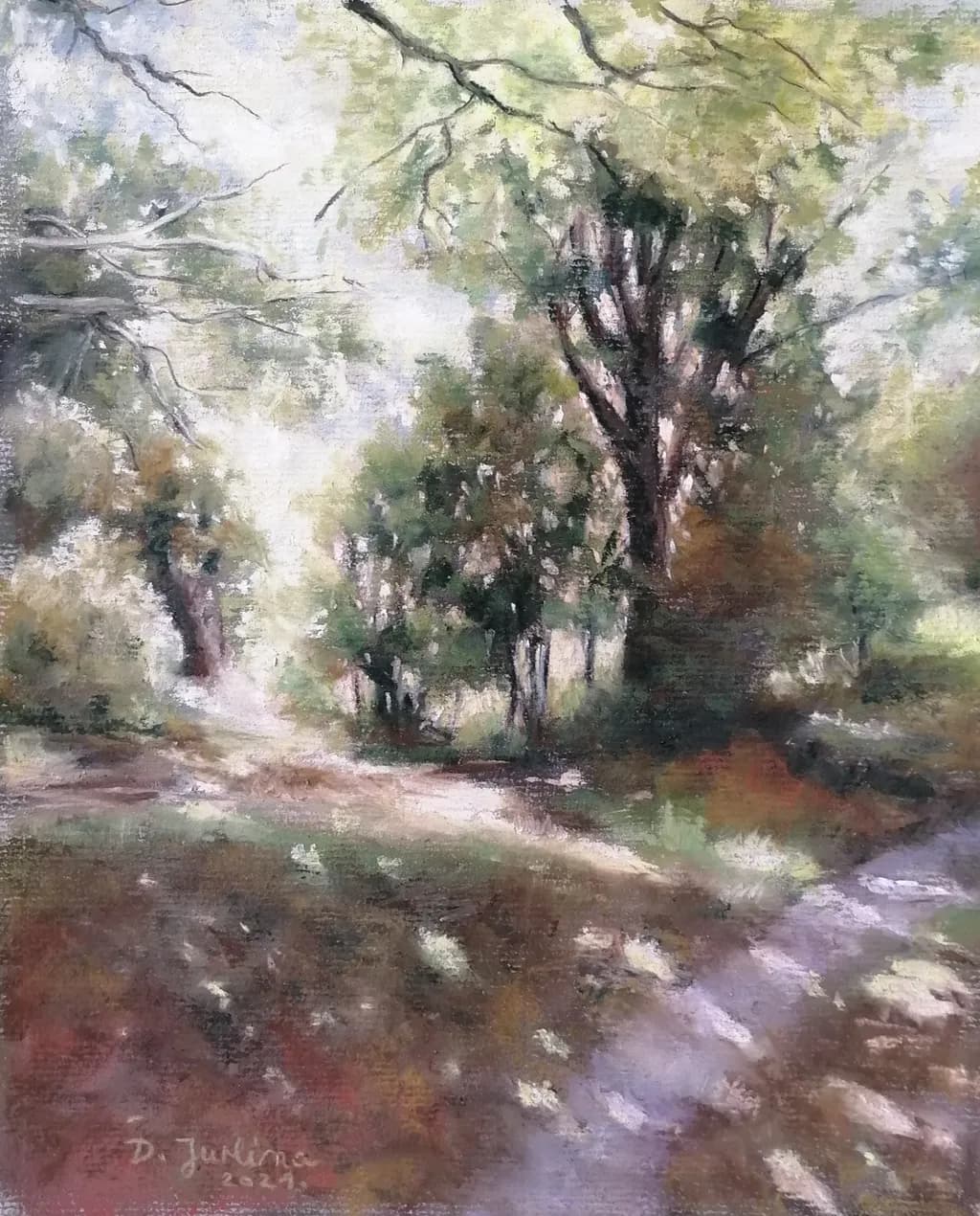 Sunlit Pathway
