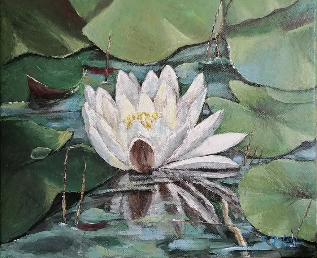 Tranquil Lily