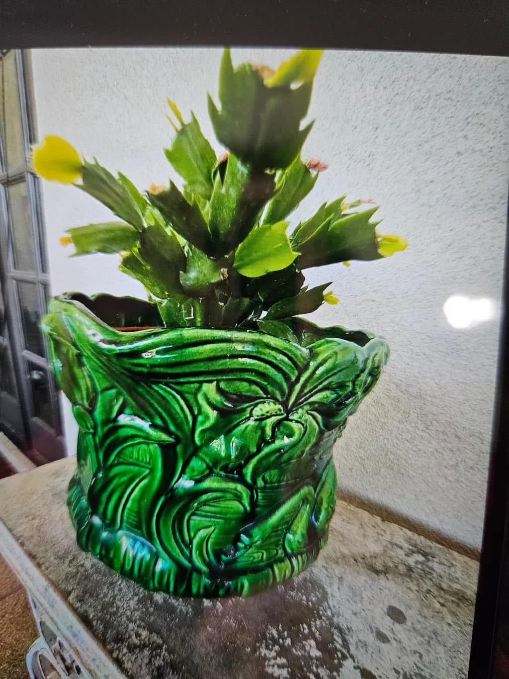 Green Cactus Planter