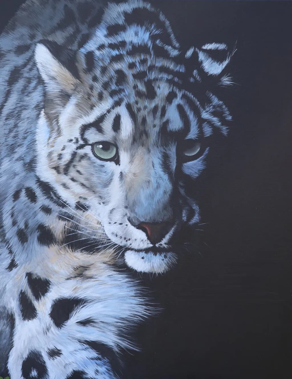 Snow Leopard