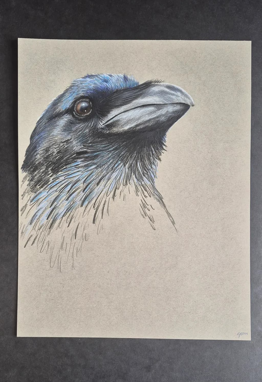 Raven's Gaze