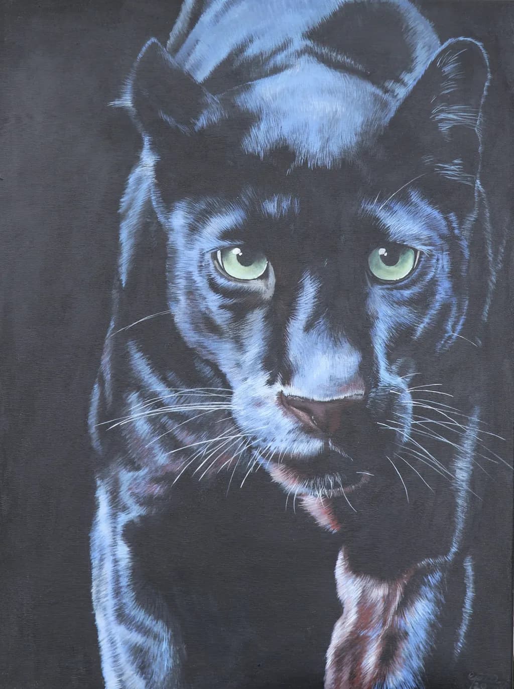 Panther
