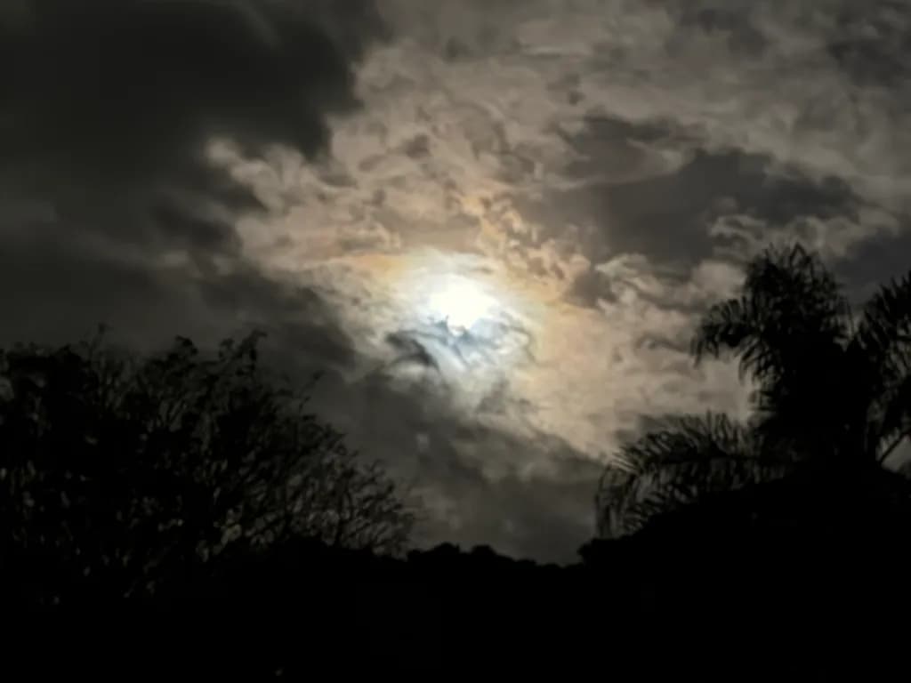 Moonlit Drama