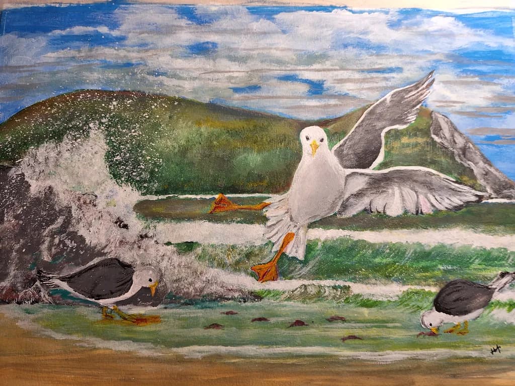 Coastal Flight